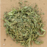 Churna Impulso repuesto - Imagen 2