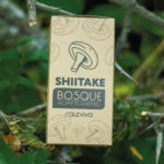 Shiitake (60cc) - Imagen 2