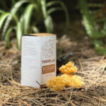 Tremella (60cc) - Imagen 3