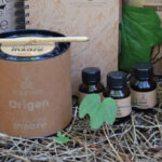 Ritual del Origen - Imagen 3