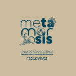 Línea Metamorfosis — Trío de Adaptógenos - Imagen 4