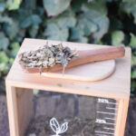 Yerbera bambú medidora y cuchara de madera - Imagen 2