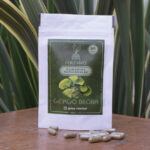 GINKGO BILOBA | 60 CÁPSULAS DE 500 MG