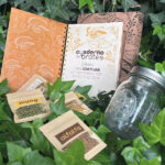 EL RITUAL DEL IMPULSO — KIT para cultivar tus proyectos y transformar tus intenciones en movimiento (28 días) - Imagen 4