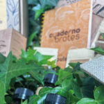 EL RITUAL DEL IMPULSO — KIT para cultivar tus proyectos y transformar tus intenciones en movimiento (28 días) - Imagen 3