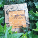 EL RITUAL DEL IMPULSO — KIT para cultivar tus proyectos y transformar tus intenciones en movimiento (28 días) - Imagen 8